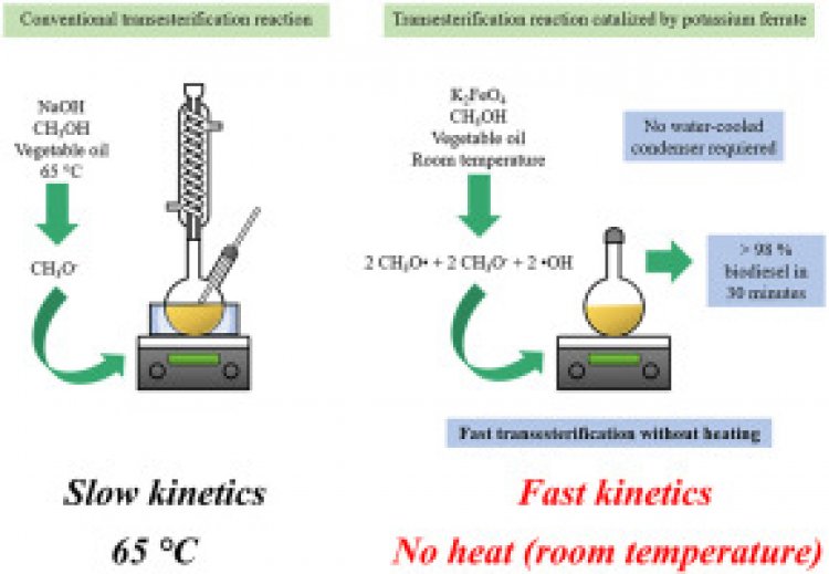 Green and fast biodiesel production at room temperature using soybean and Jatropha curcas L. oils catalyzed by potassium ferrate